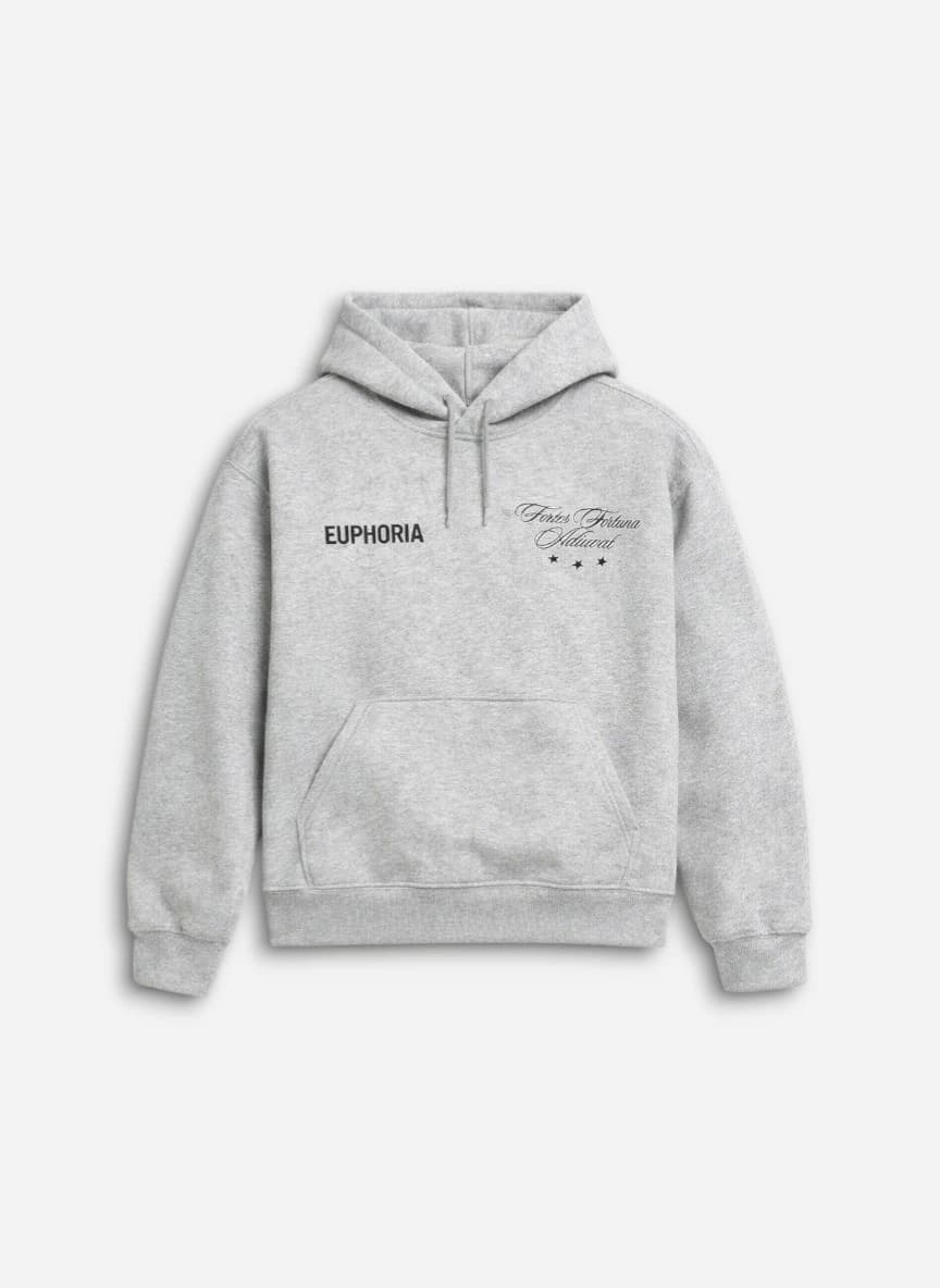 H&M Loose Fit Hoodie